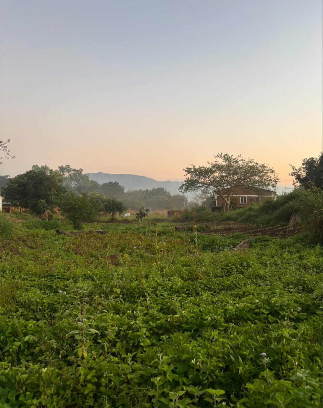 Tiwonana Malawi (See you later)