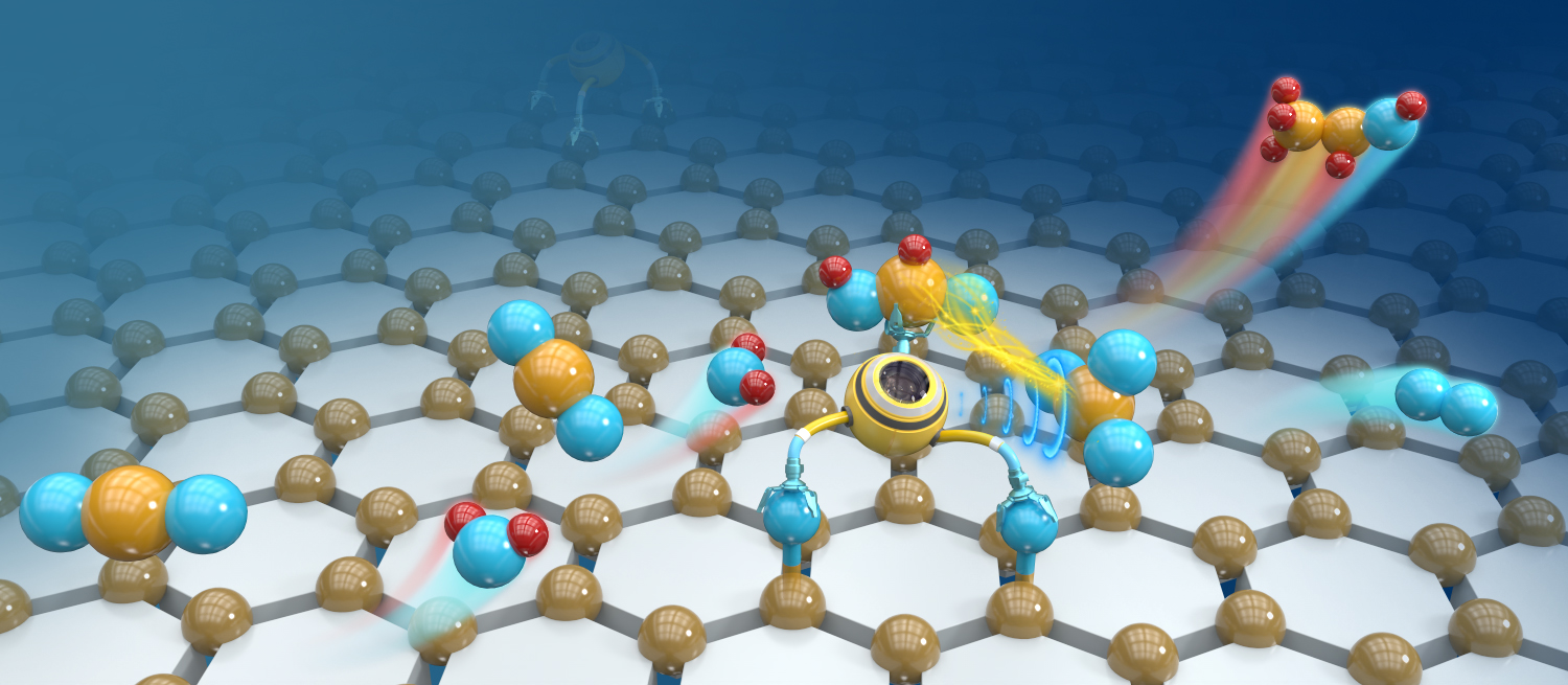 Carbon-Carbon Coupling on a Metal Non-metal Catalytic Pair