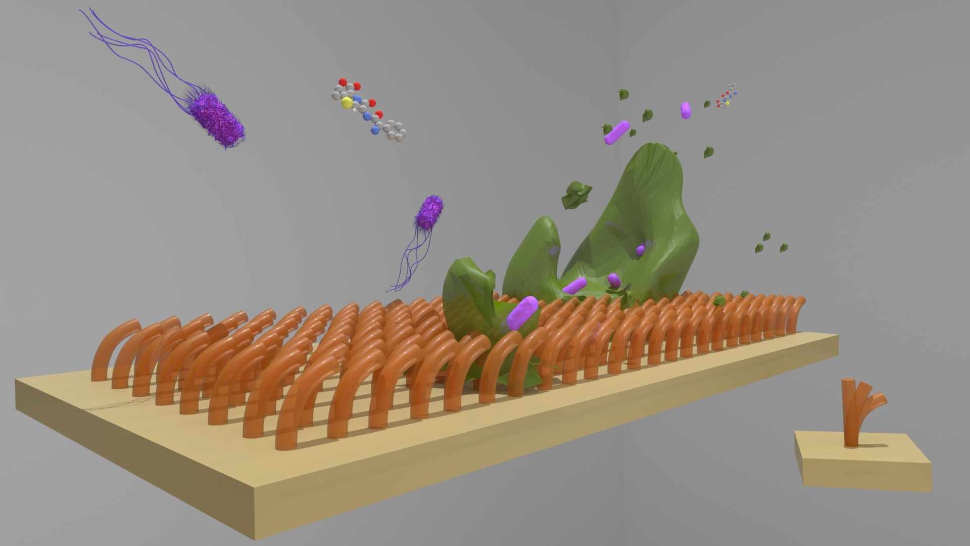 Bioinspired antifouling surfaces with active topographies