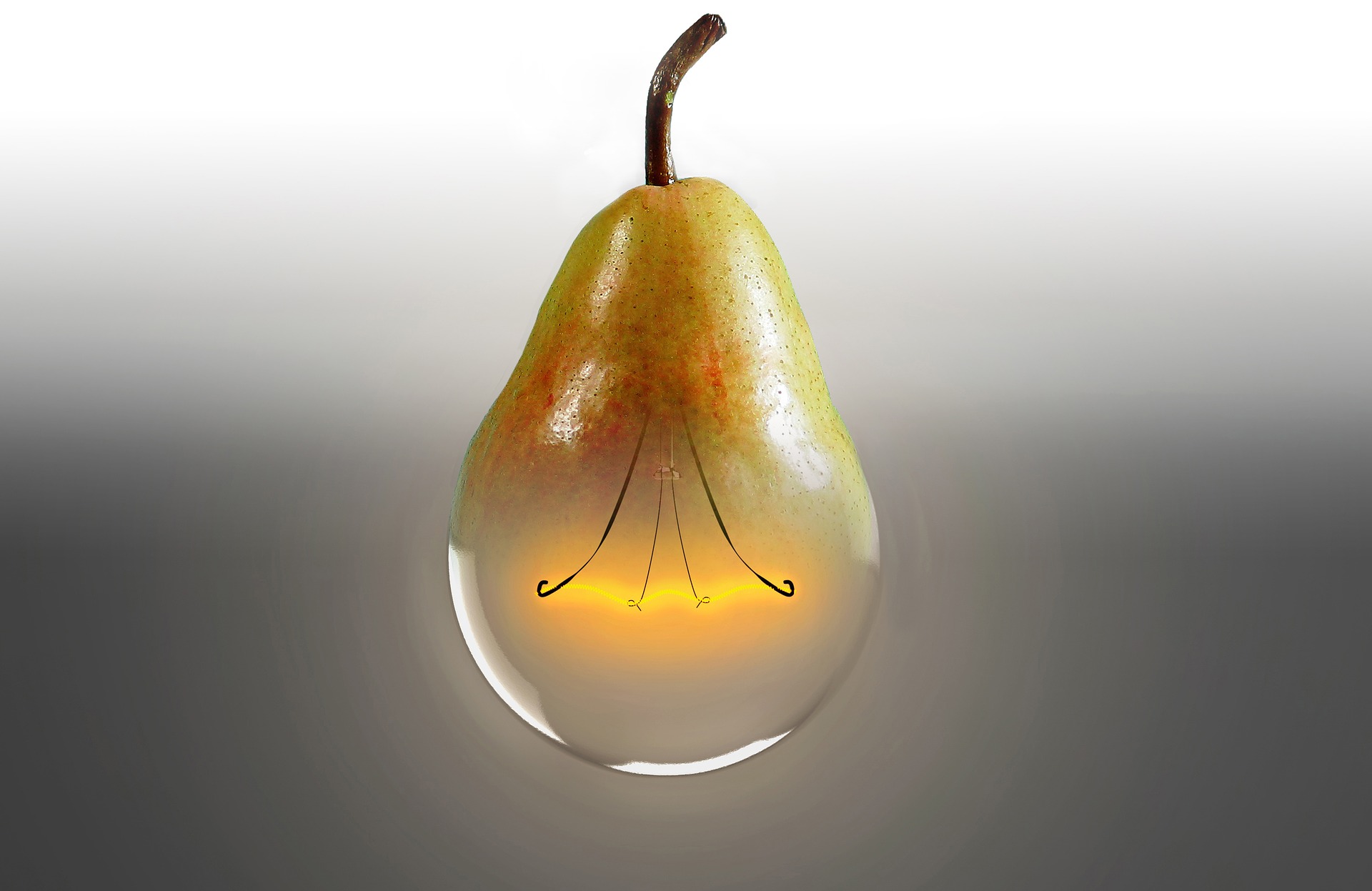 GM Food Opponents: Interesting Findings and Finding Coauthors in Interesting Ways