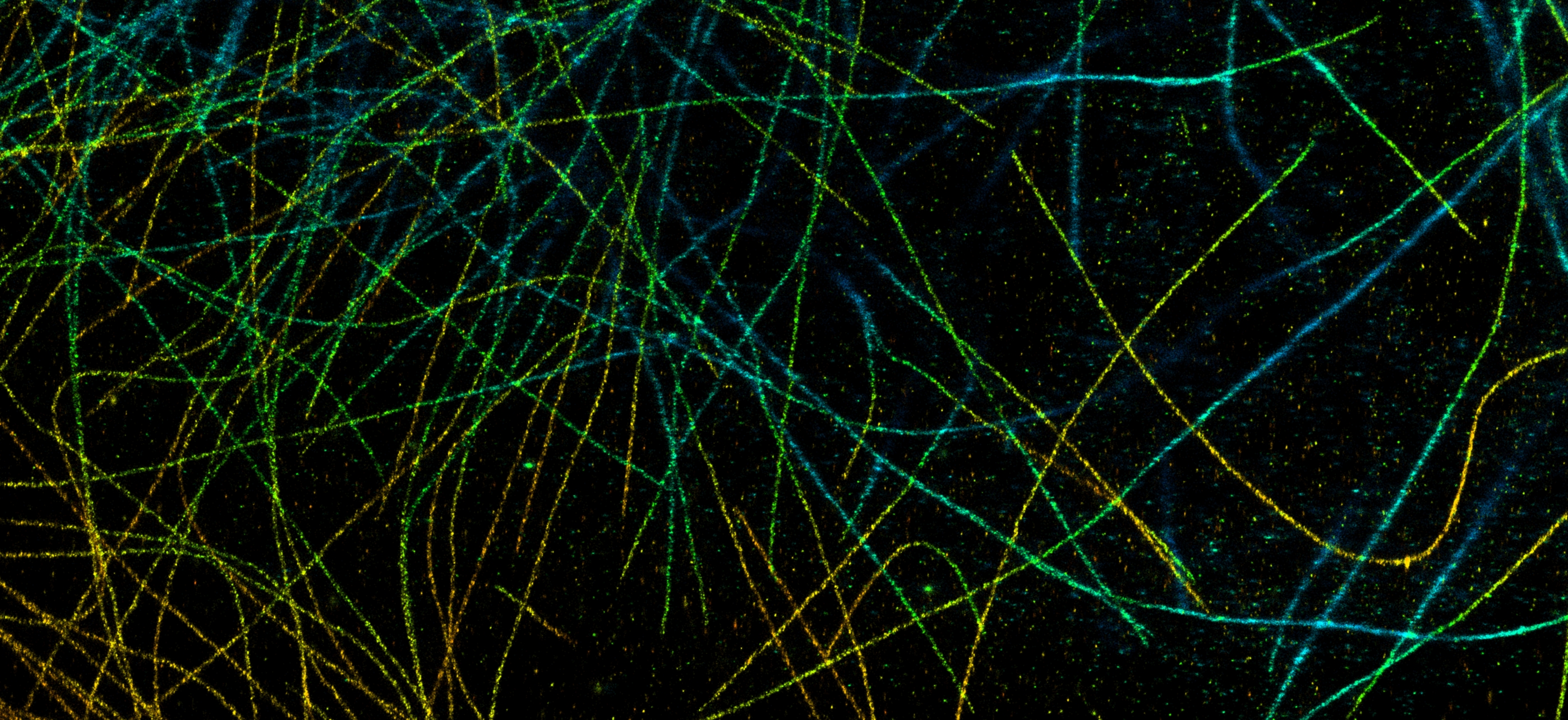 Competitive benchmarking of super-resolution microscopy software