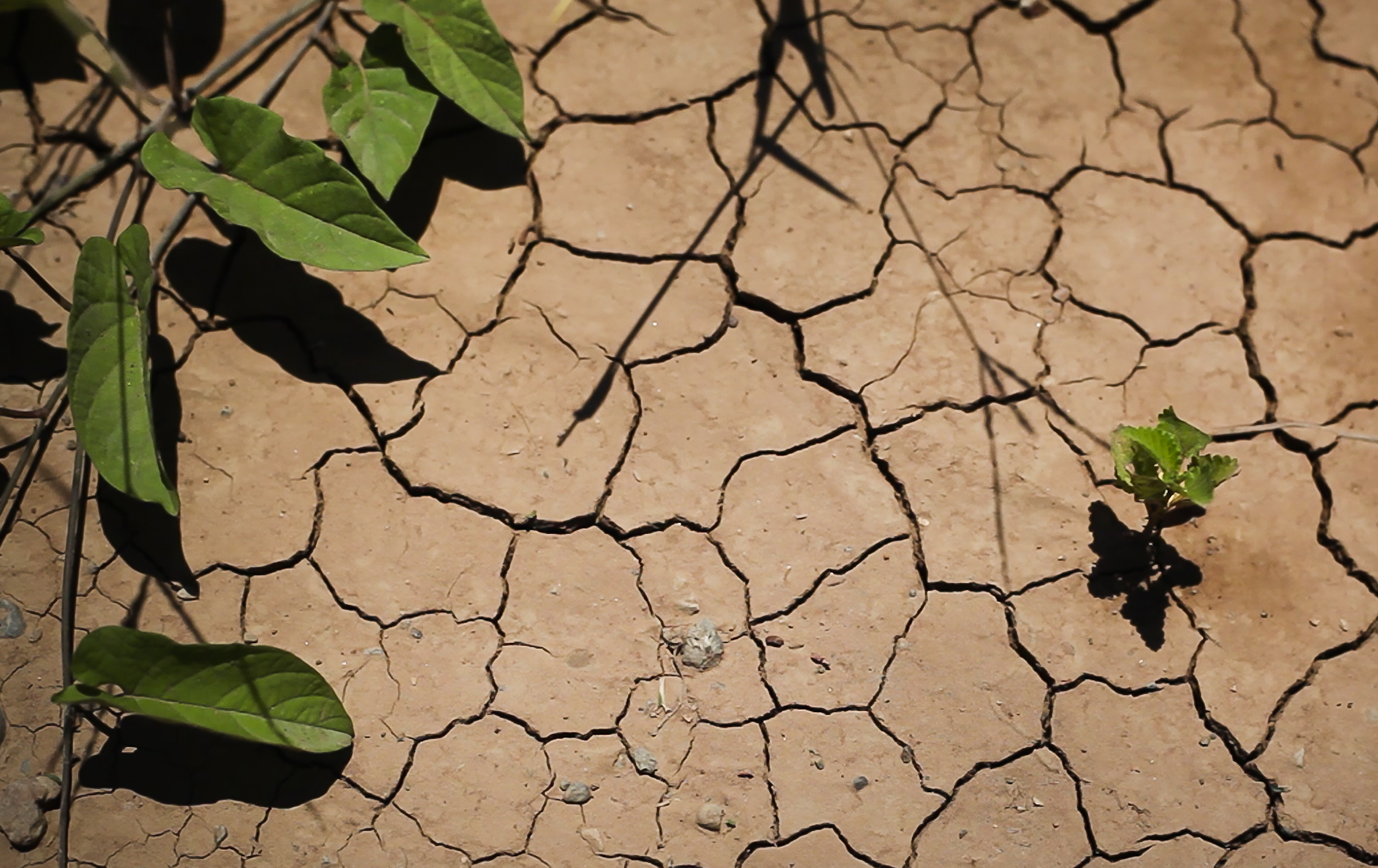 Test and Adapt: speeding up climate change adaptation is a tall order