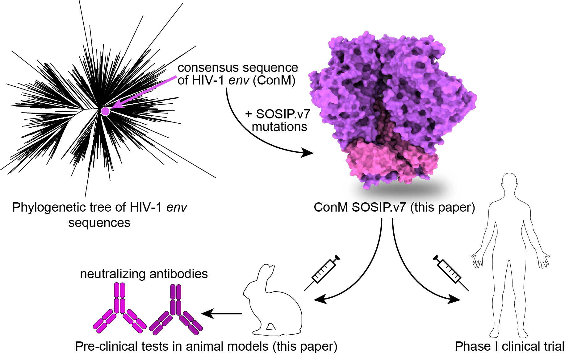 Generating a consensus vaccine against HIV-1