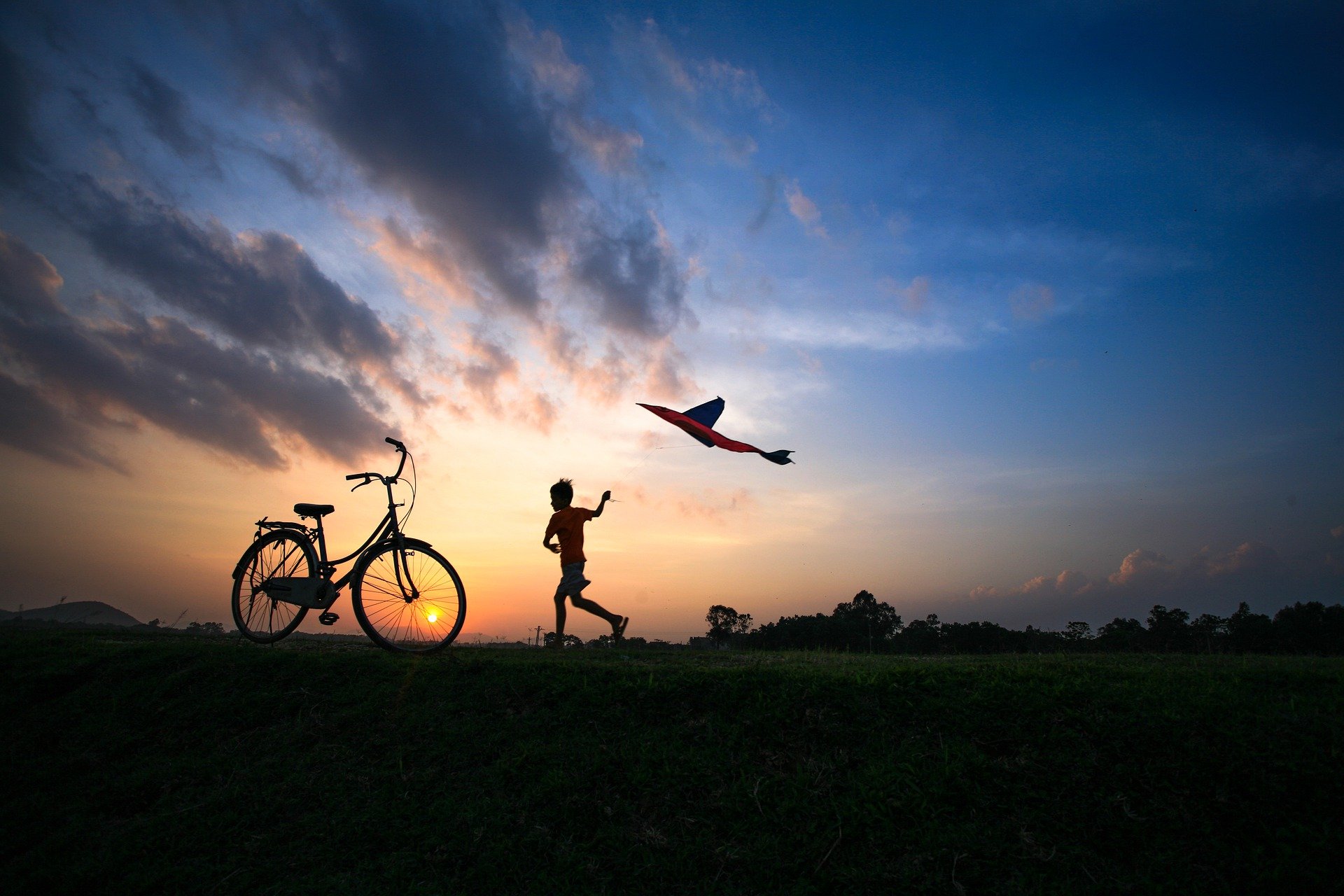 The global forecast on education