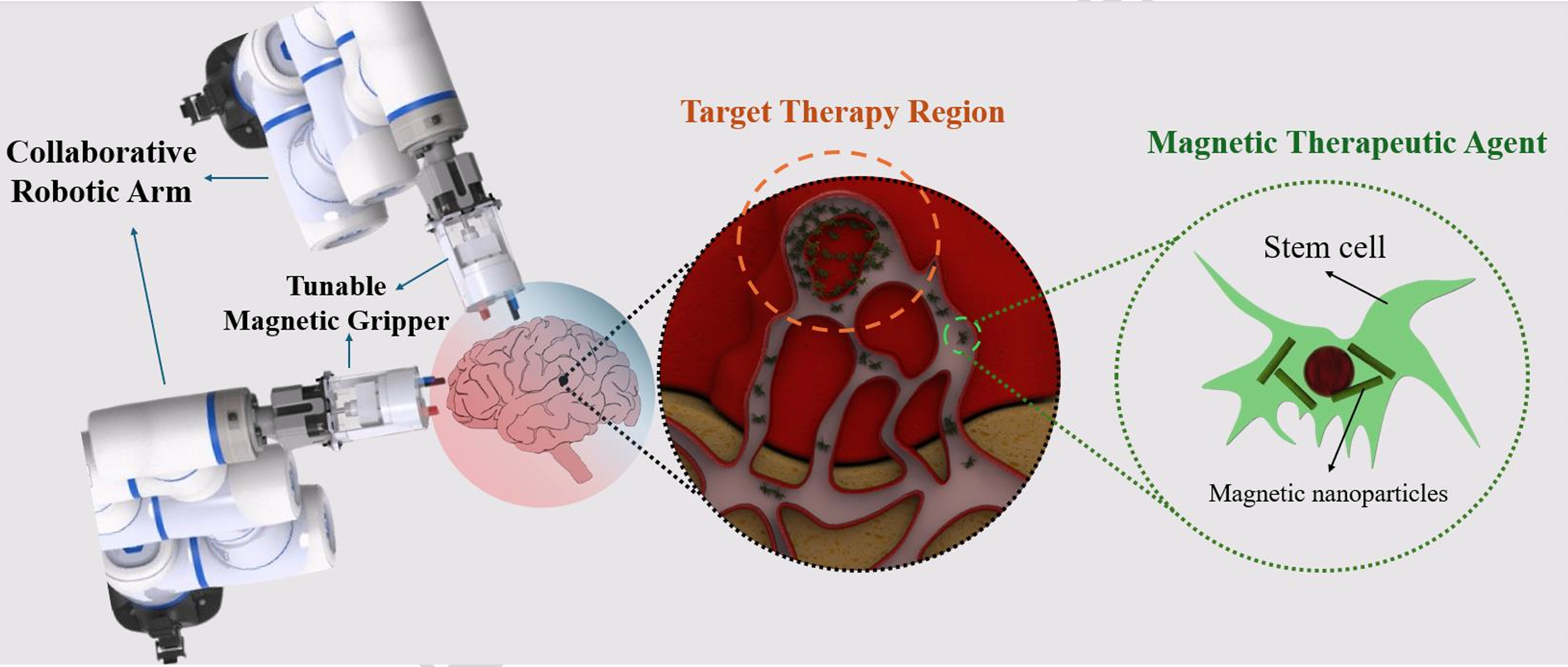 Tunable Magnetic Field Control for Next-Generation Medical Microrobotics