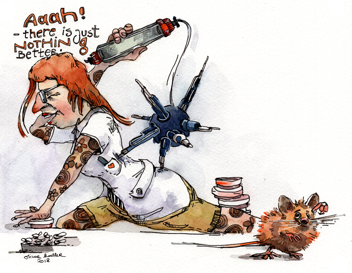 Professional masochists