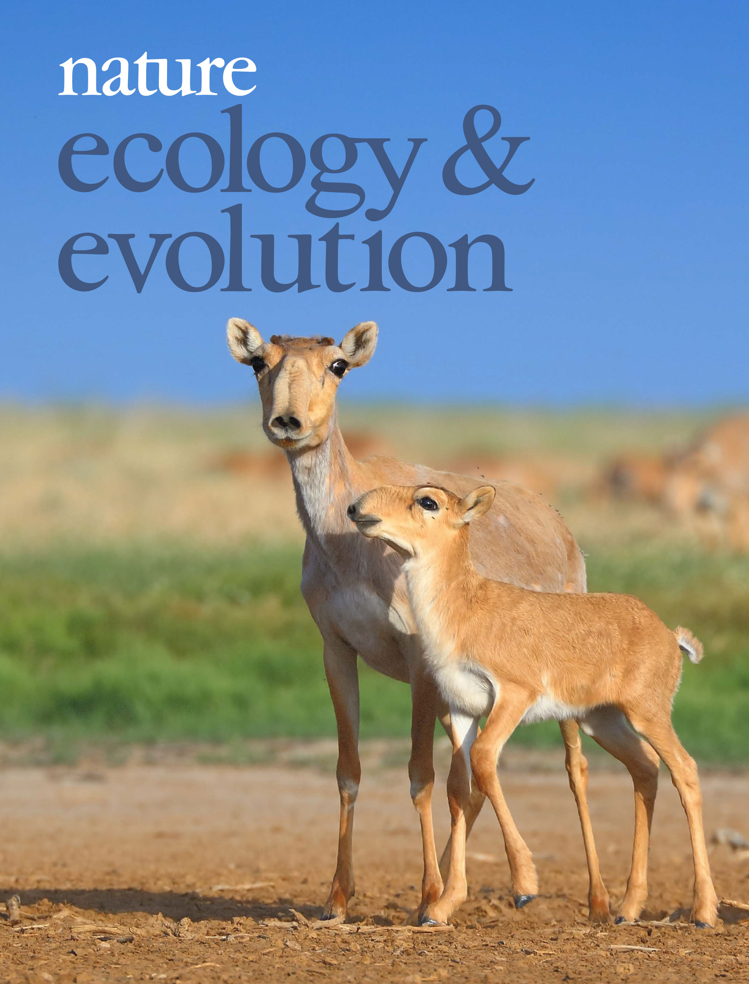 Gallery | February 2017 cover