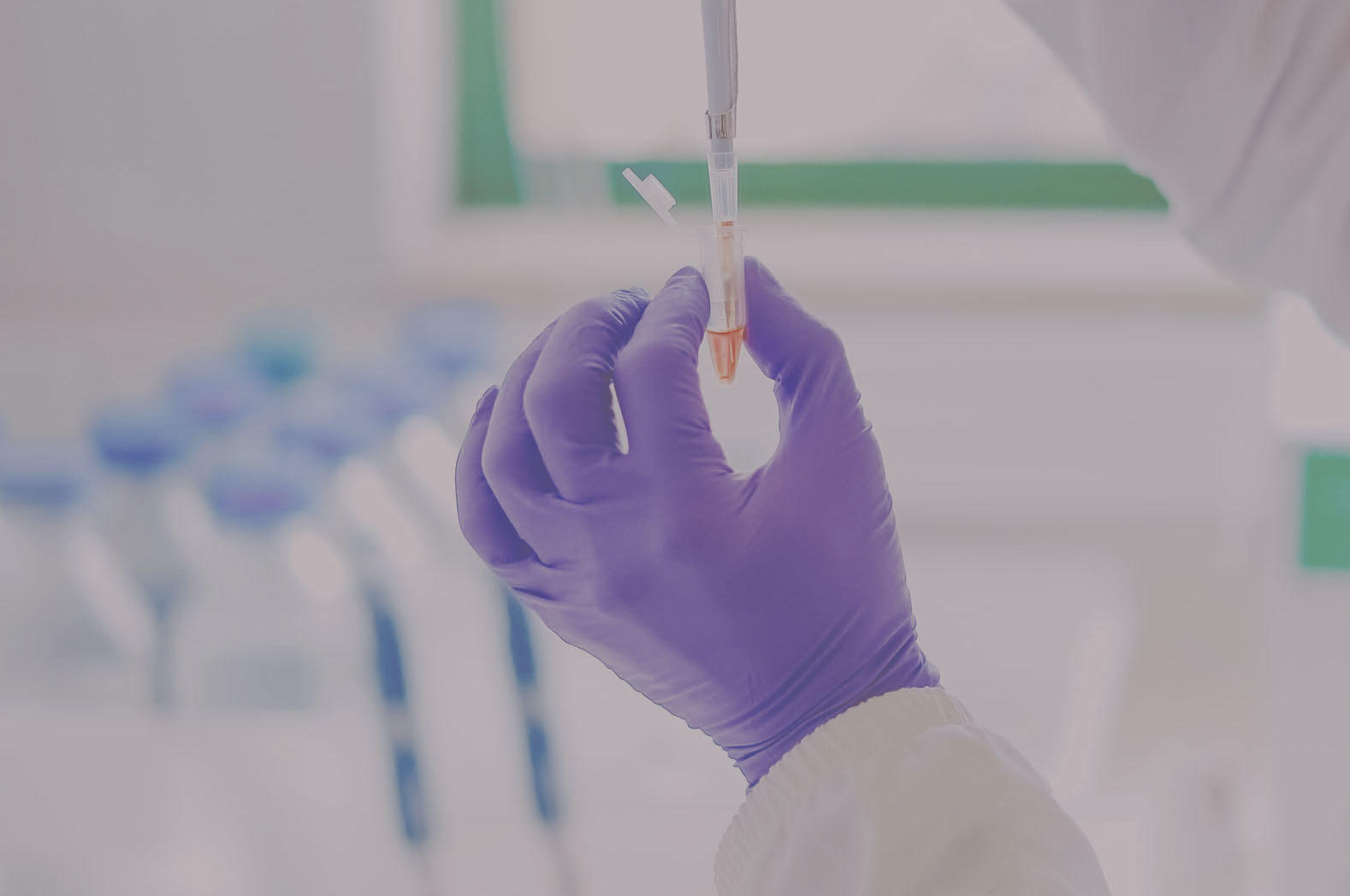 Exploring the effect of human host metabolites in Candida glabrata pathogenicity