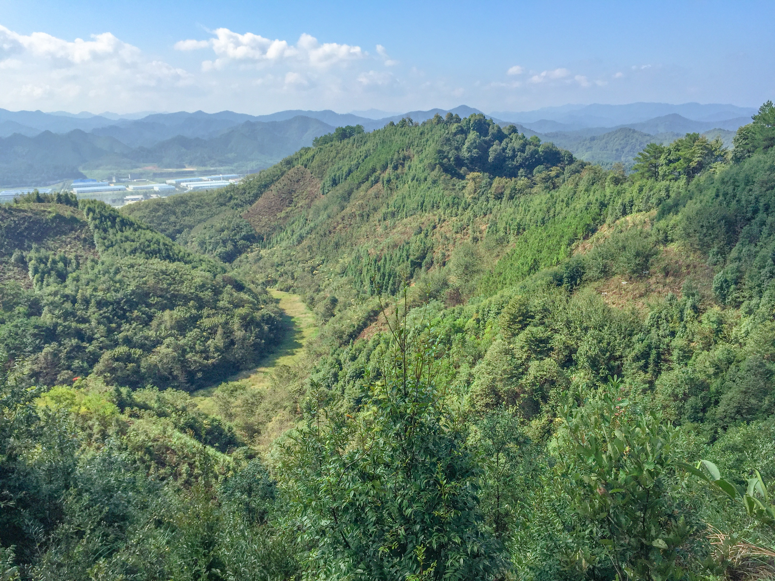 A novel method to compare pre- and post-extinction communities helps predict how biodiversity loss affects ecosystem functioning