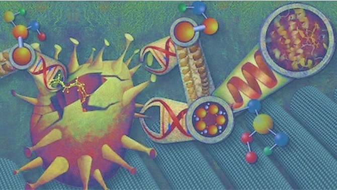Bioengineering multifunctional DNA nanomaterials – a molecular playground