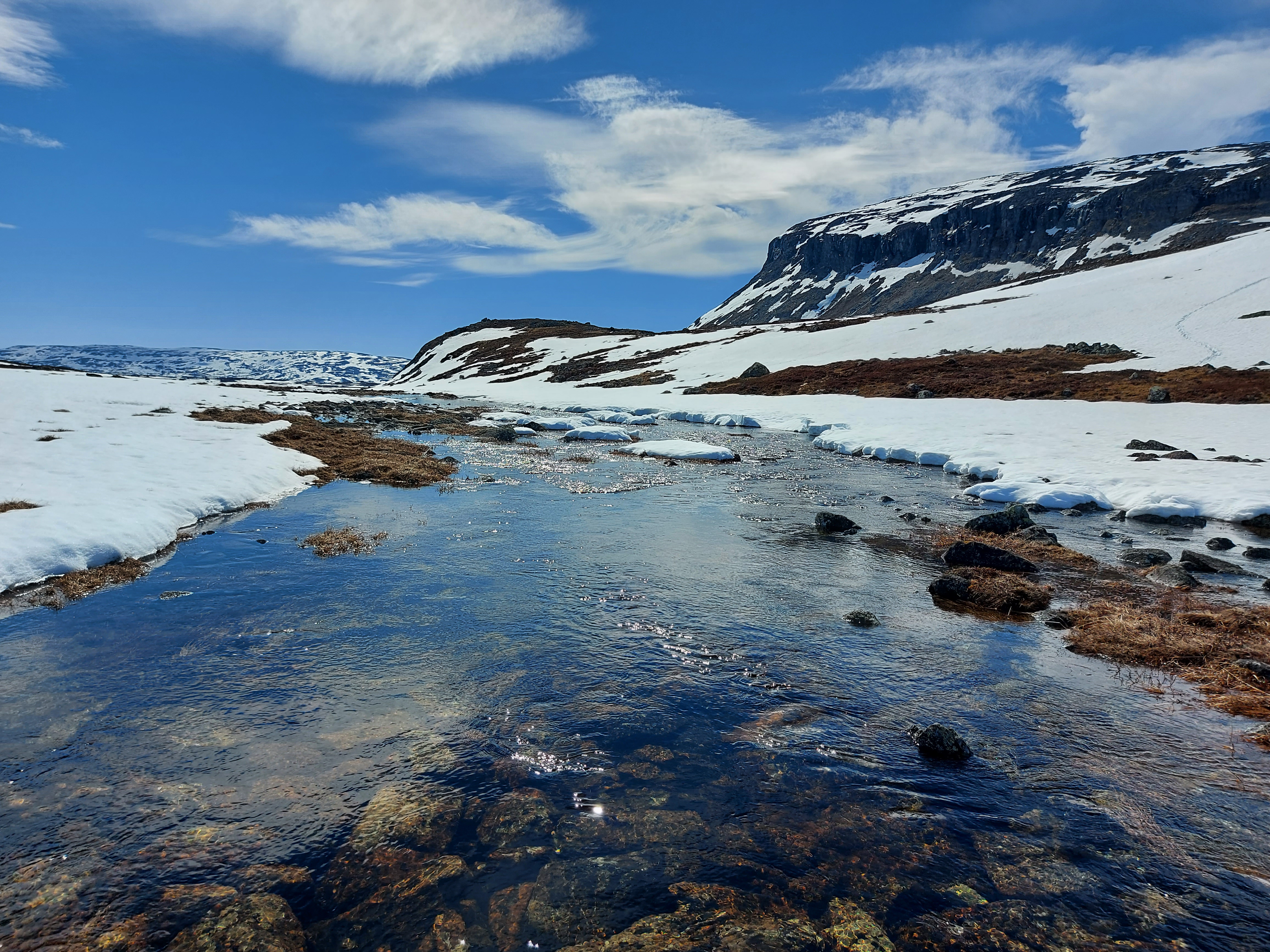 Shifting signatures of climate change reshuffle northern species
