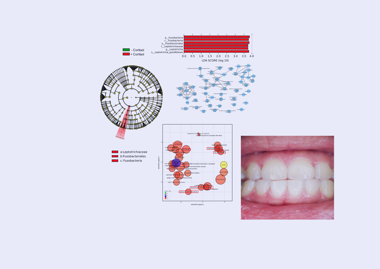 How bacteria respond to human stress