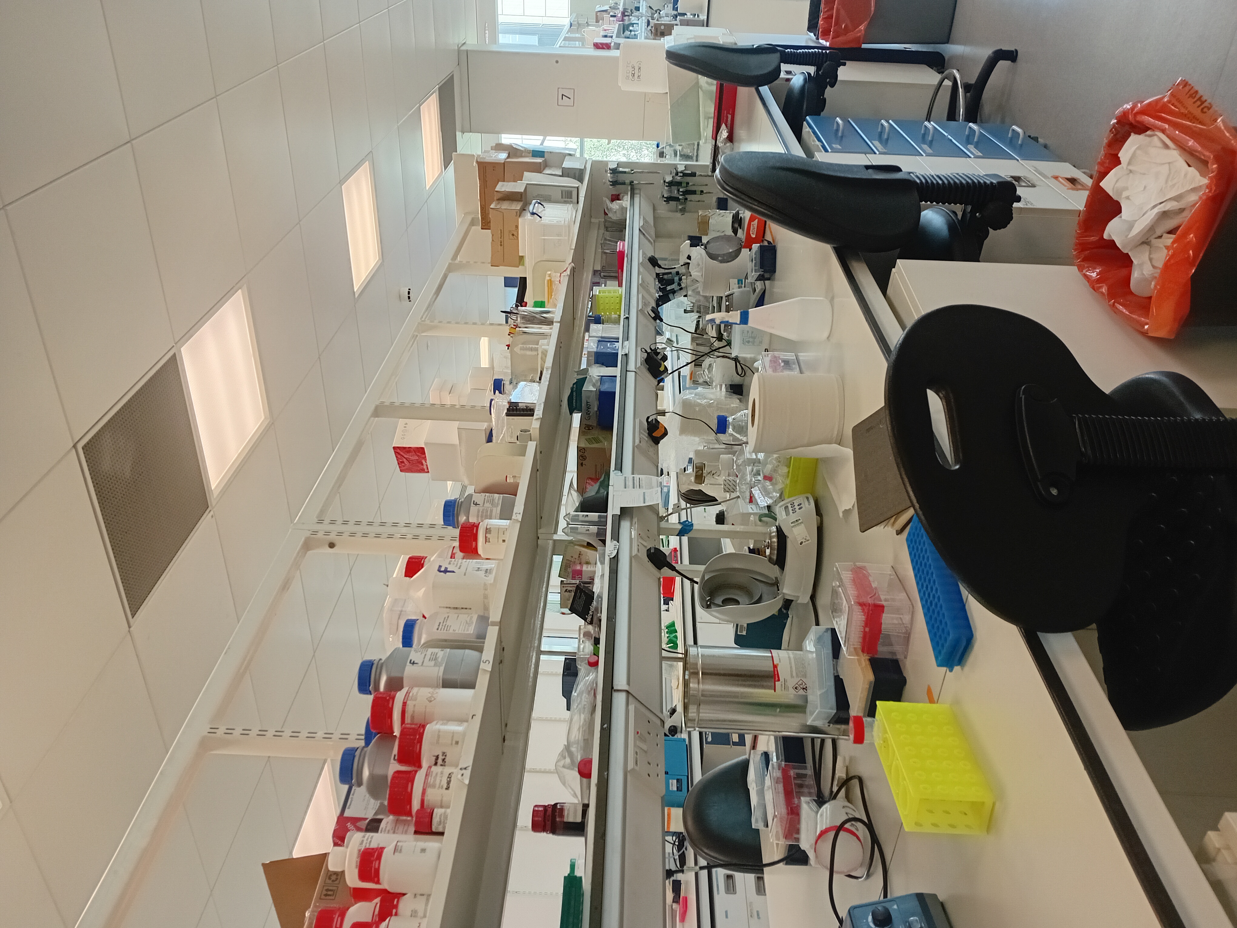 Week 1 of Research at Leeds: Insights and Reflection