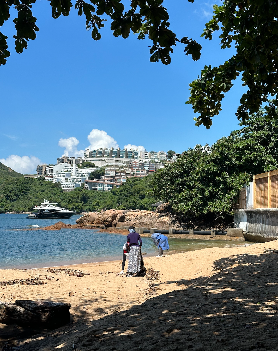 LiA Week 6: Cleansing Coasts