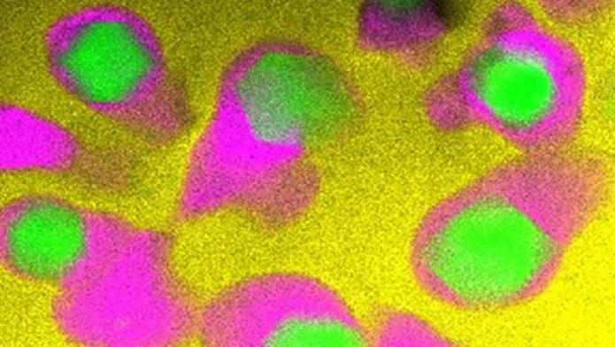 Copper-containing glass ceramic with high antimicrobial efficacy