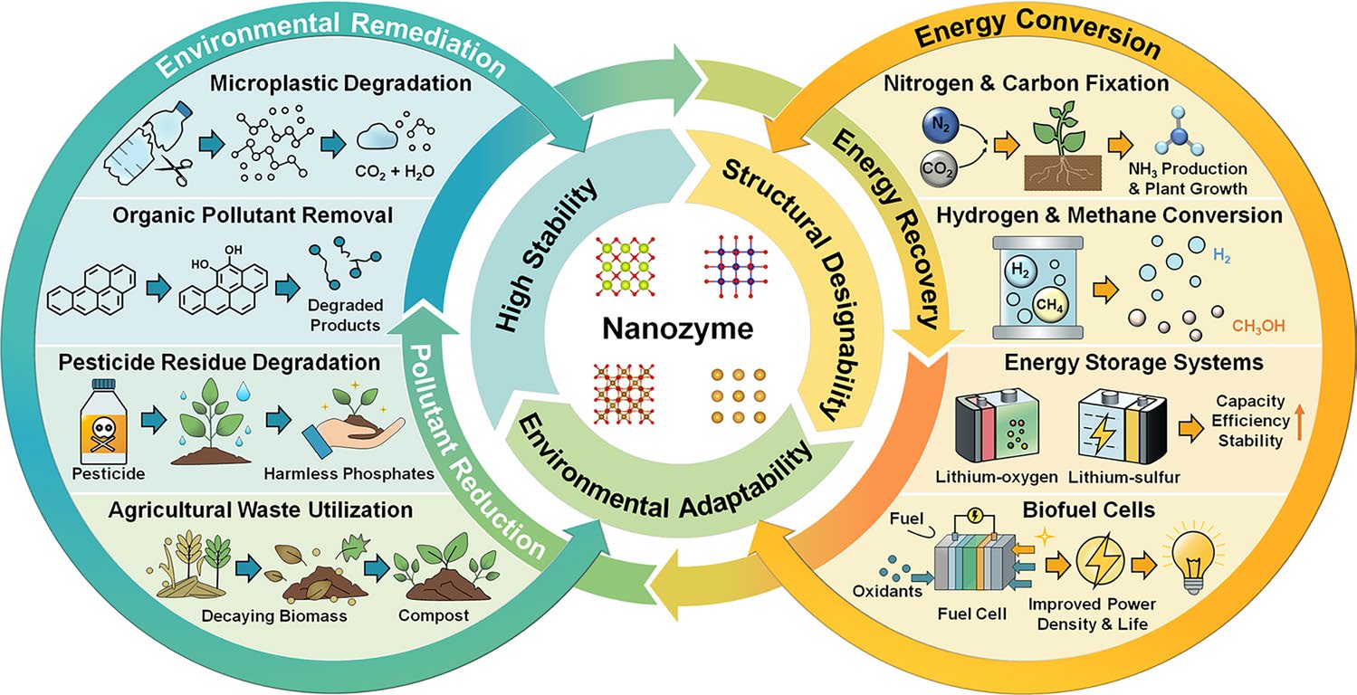 Eco‑Nanozymology: A Catalytic Paradigm Integrating Energy, Environment, and Ecology