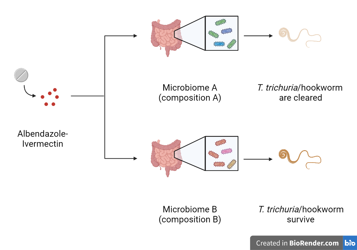 Gut microbes - Friends or foes?