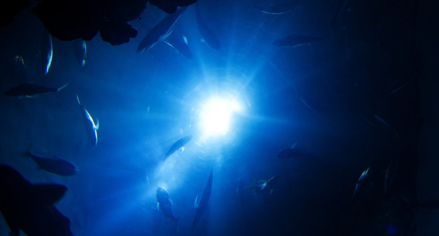 What the geological past can tell us about the future of the ocean's twilight zone