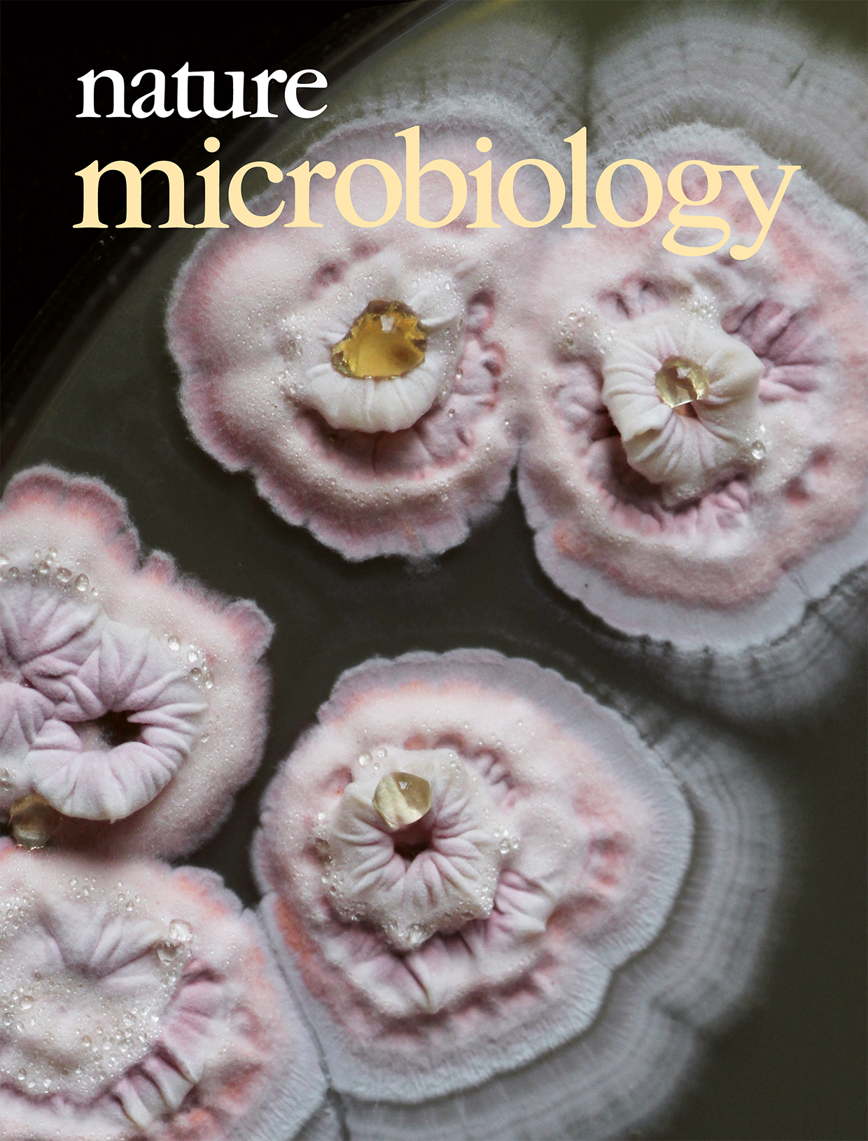 March 2017 cover