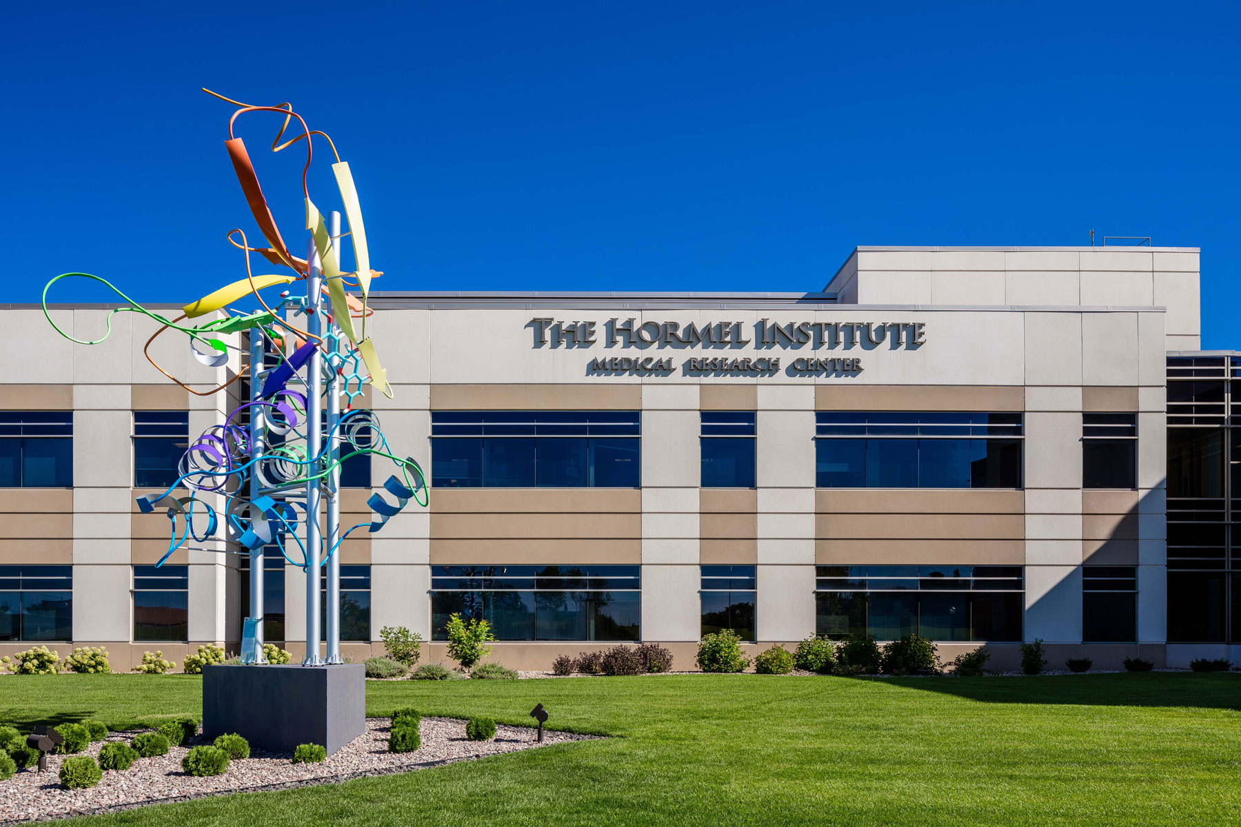 Liver cancer breakthrough at The Hormel Institute