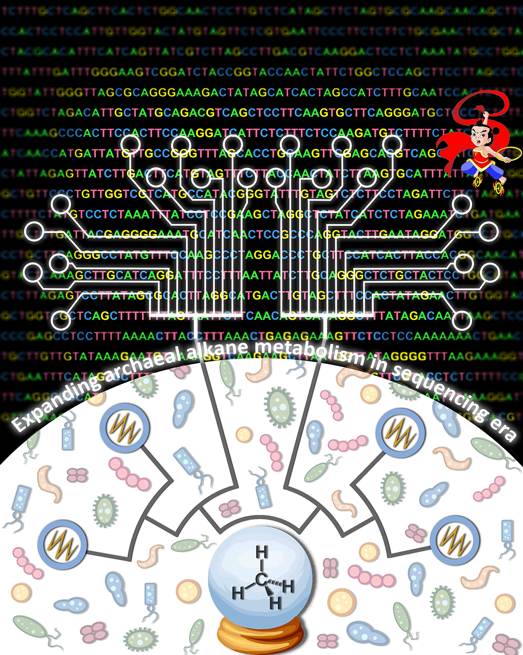 Expanding anaerobic alkane metabolism in the domain of Archaea