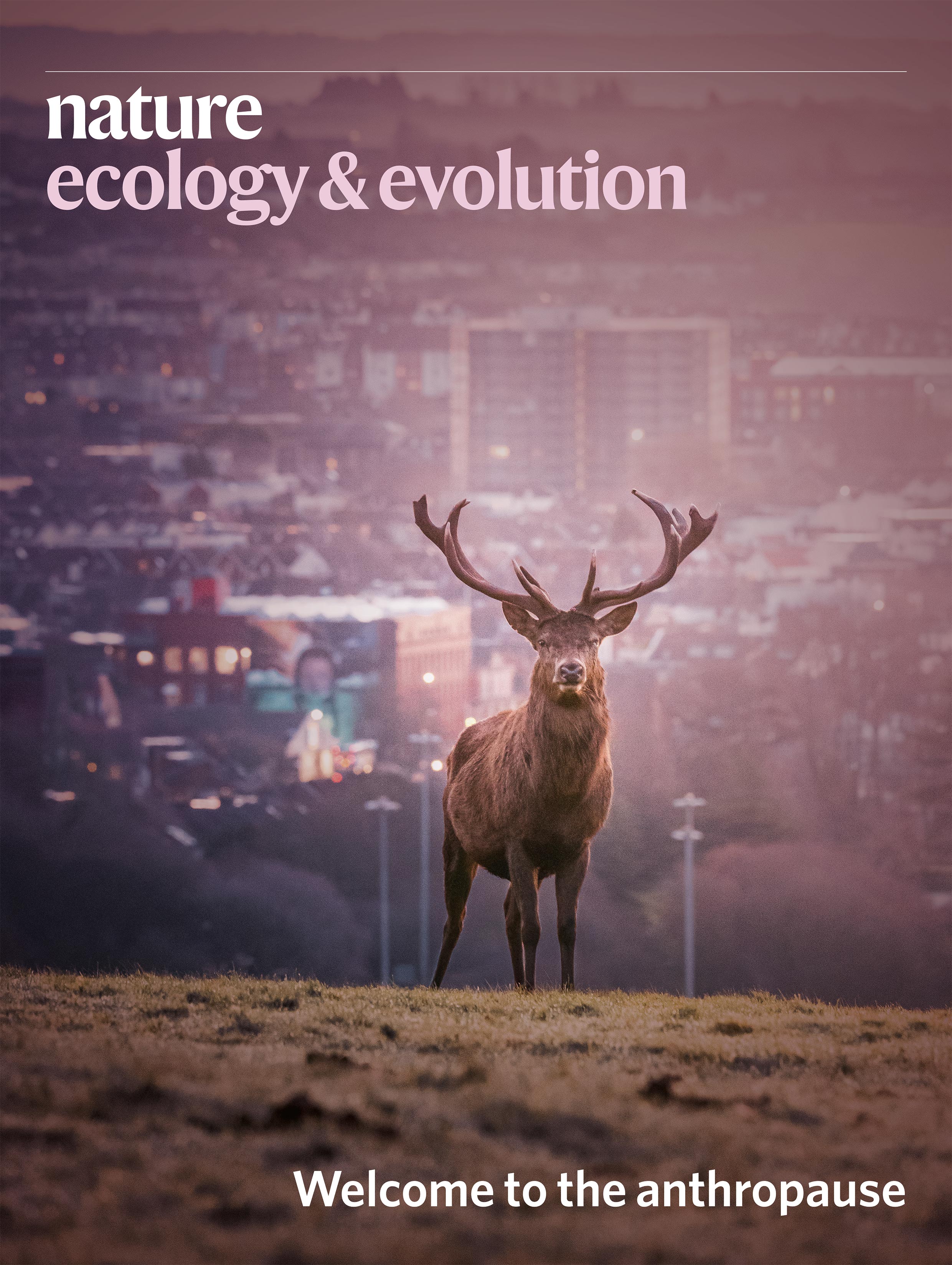 Gallery | September 2020 cover