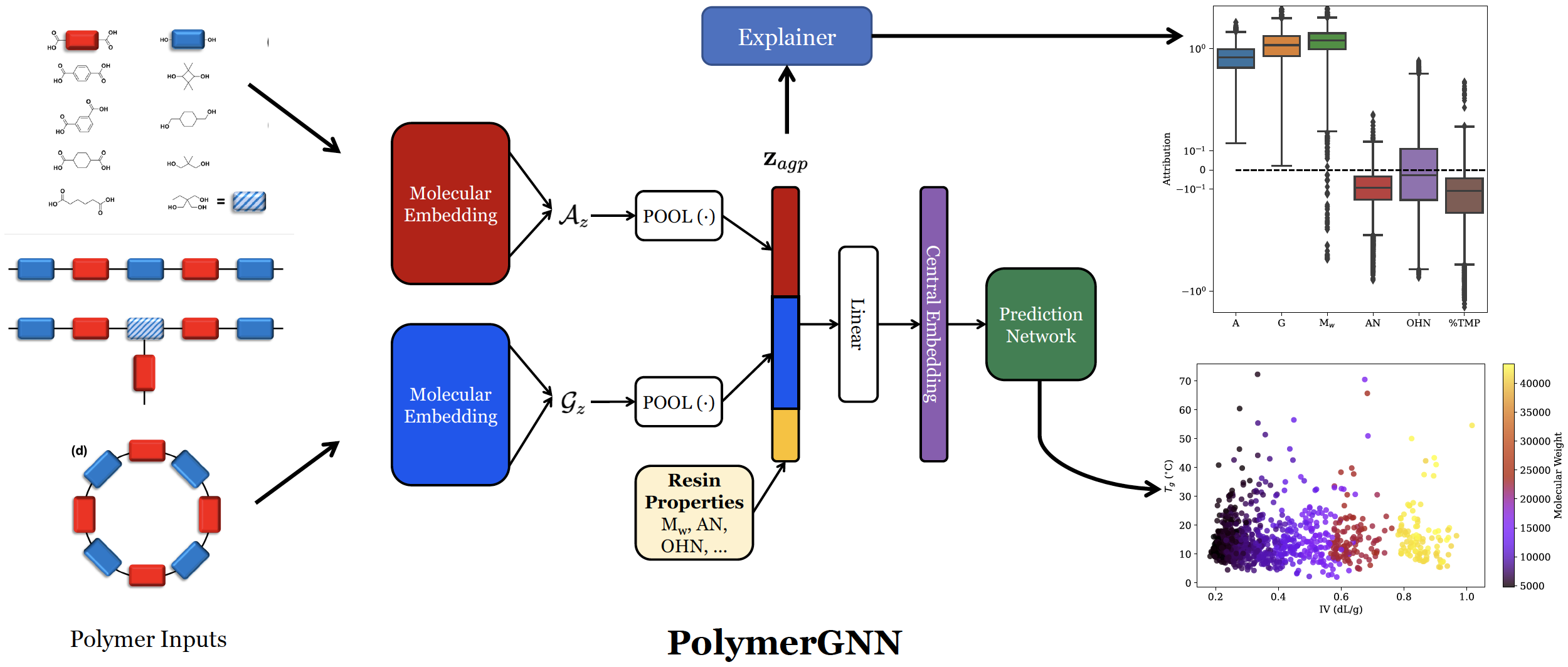 A Graph Neural Network Model that Learns Polymer Properties
