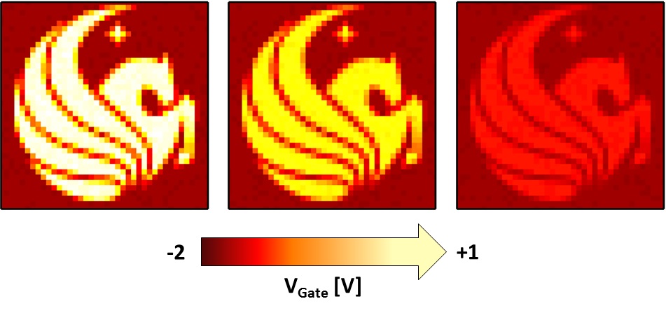 Dirac plasmon-assisted asymmetric hot carrier generation for room-temperature infrared detection