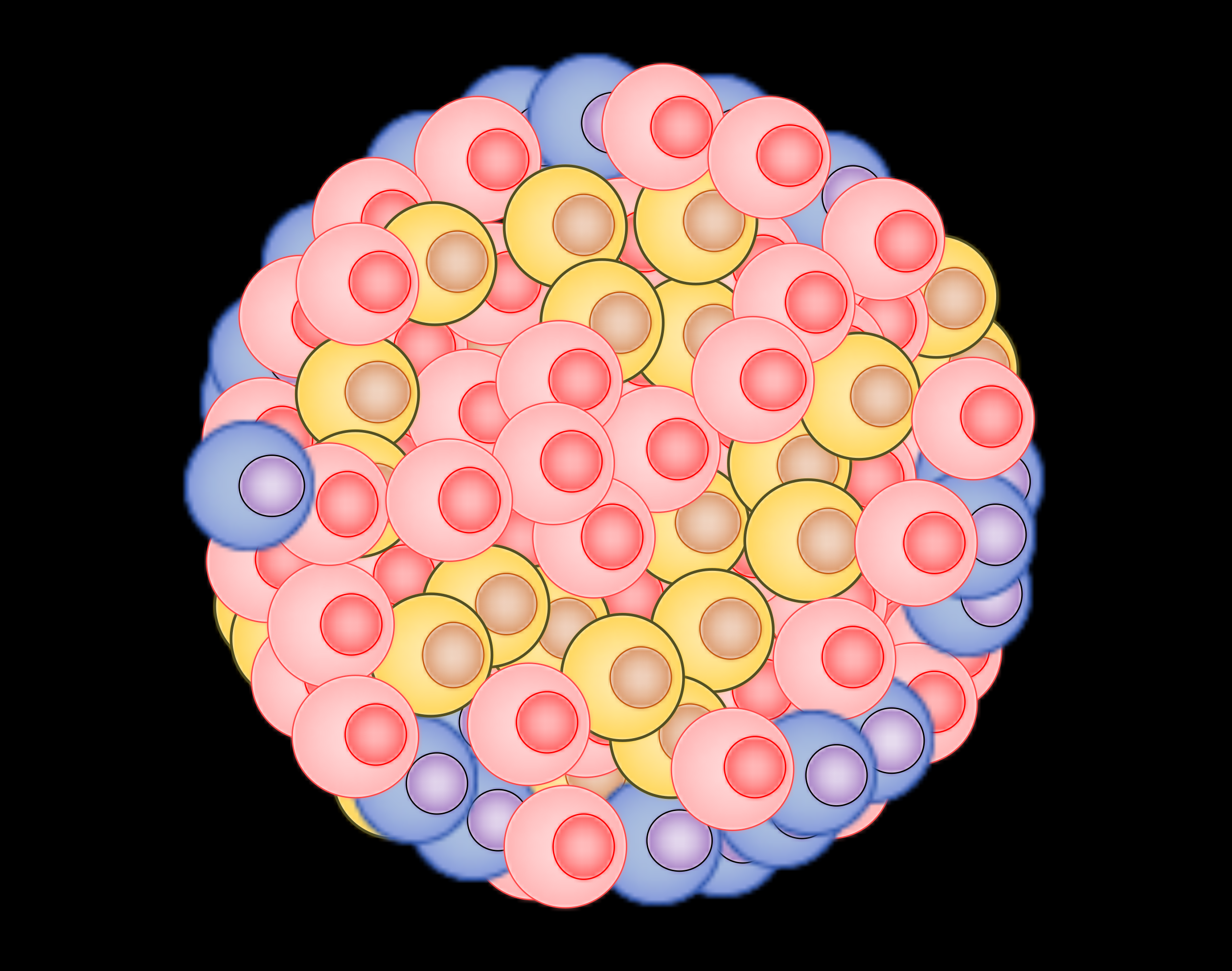 Functional Heterogeneity as an intrinsic property that sets a survival strategy in breast cancer.