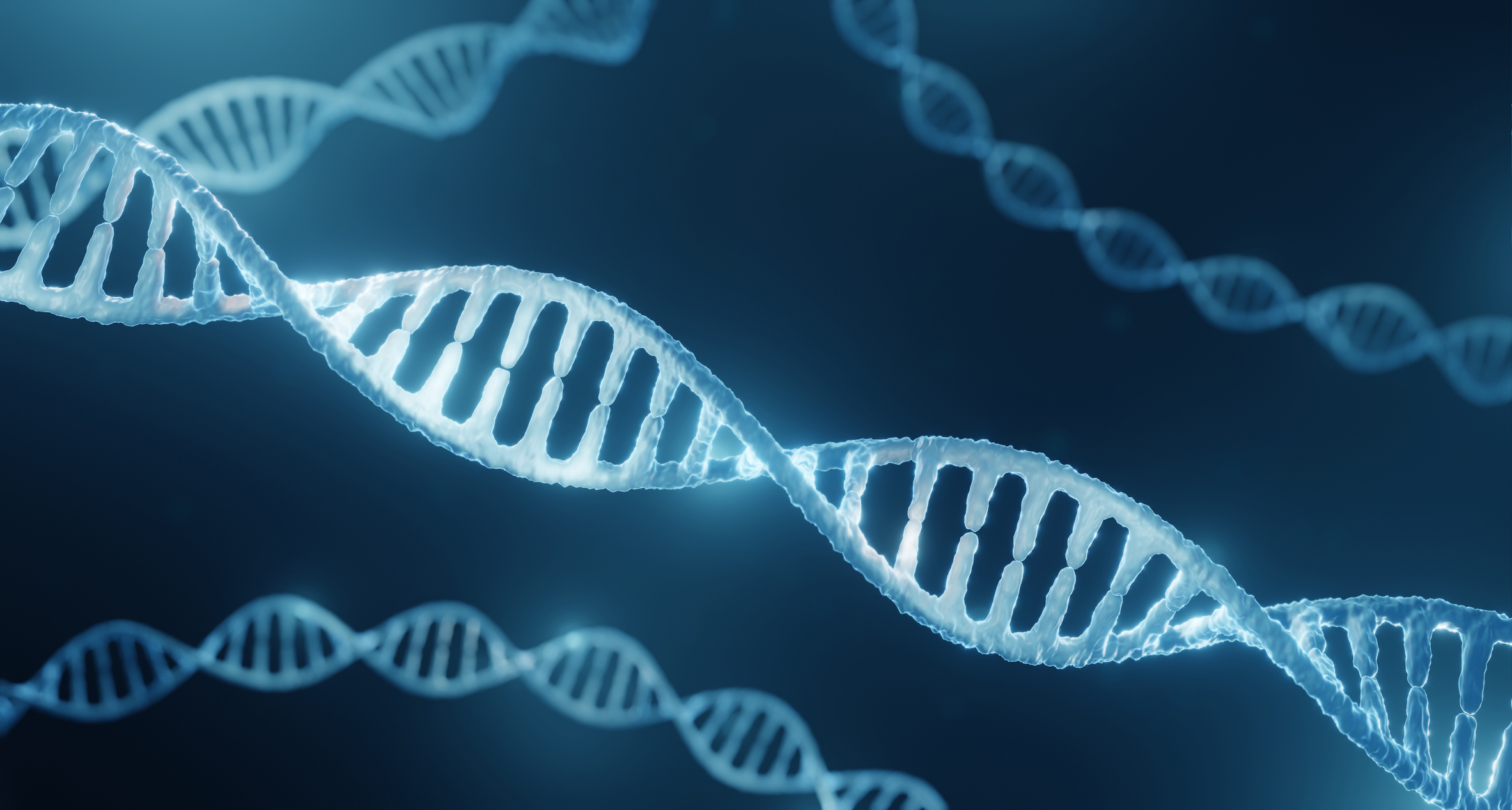 Passing It On: Exploring Transgenerational Epigenetic Inheritance