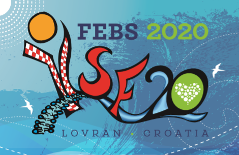 The FEBS Young Scientists' Forum 2020: apply now!