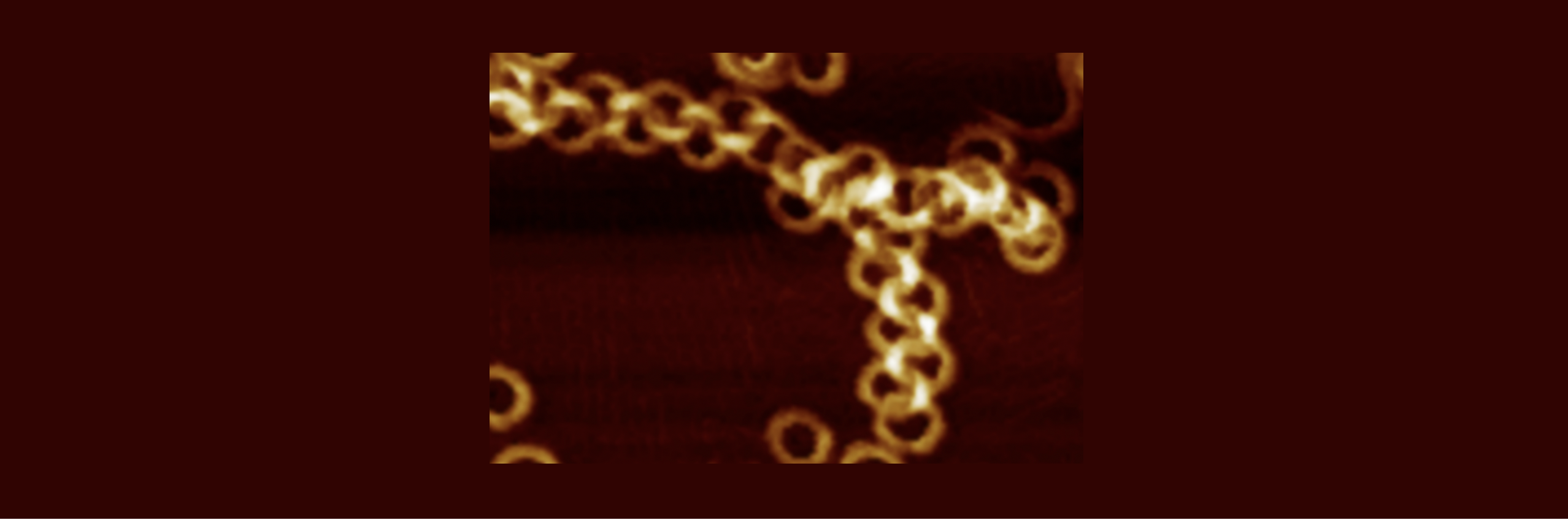 A tale of nano-poly[22]catenane