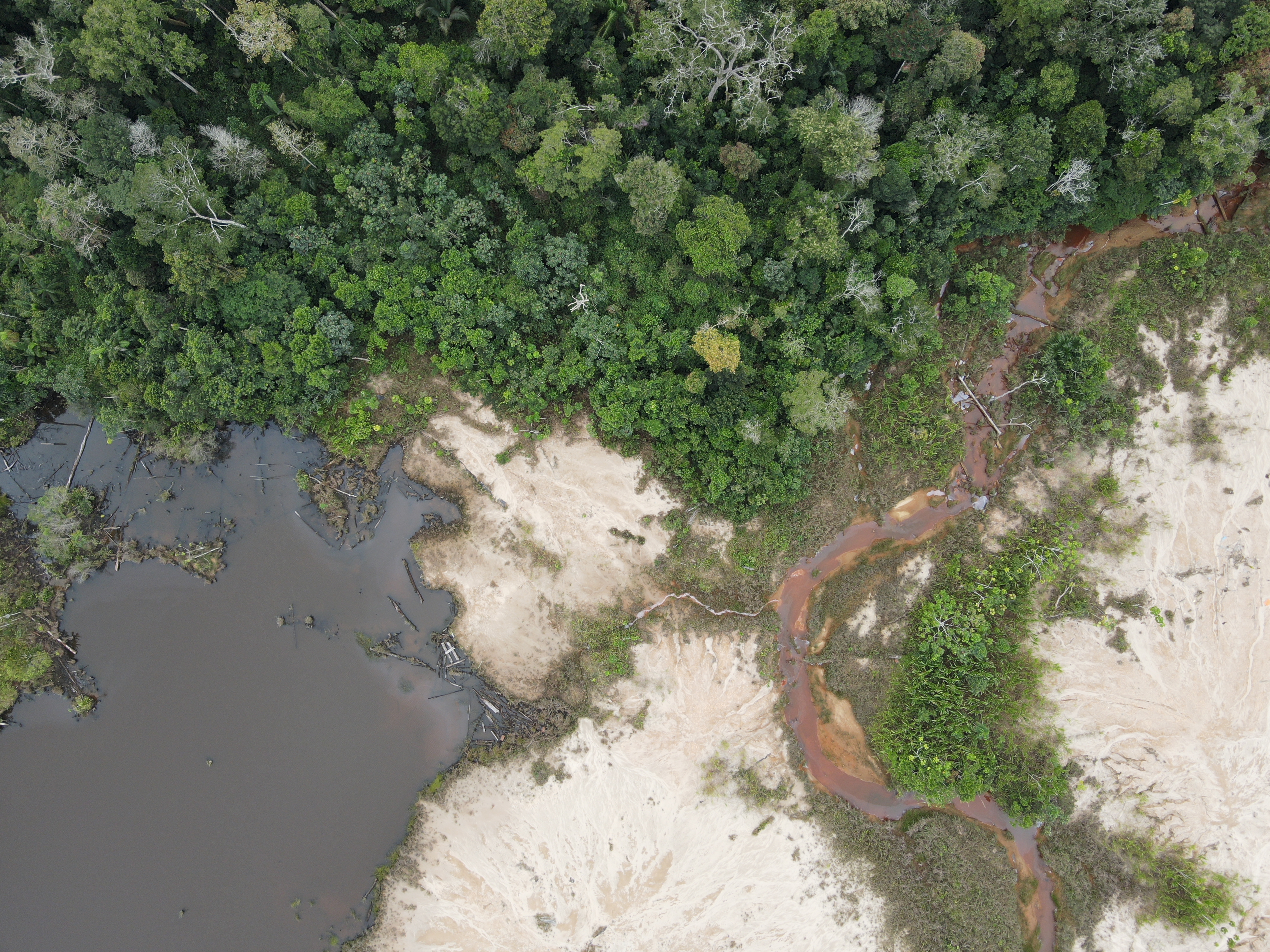 Returning water to gold mining ravaged forests: reconsidering approaches to reforestation