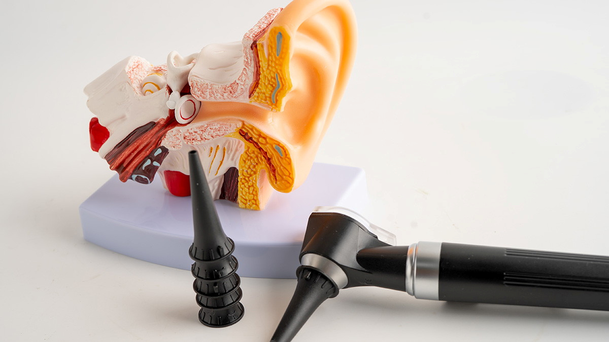 Hearing disorders and deafness Collection - Contribution Highlights