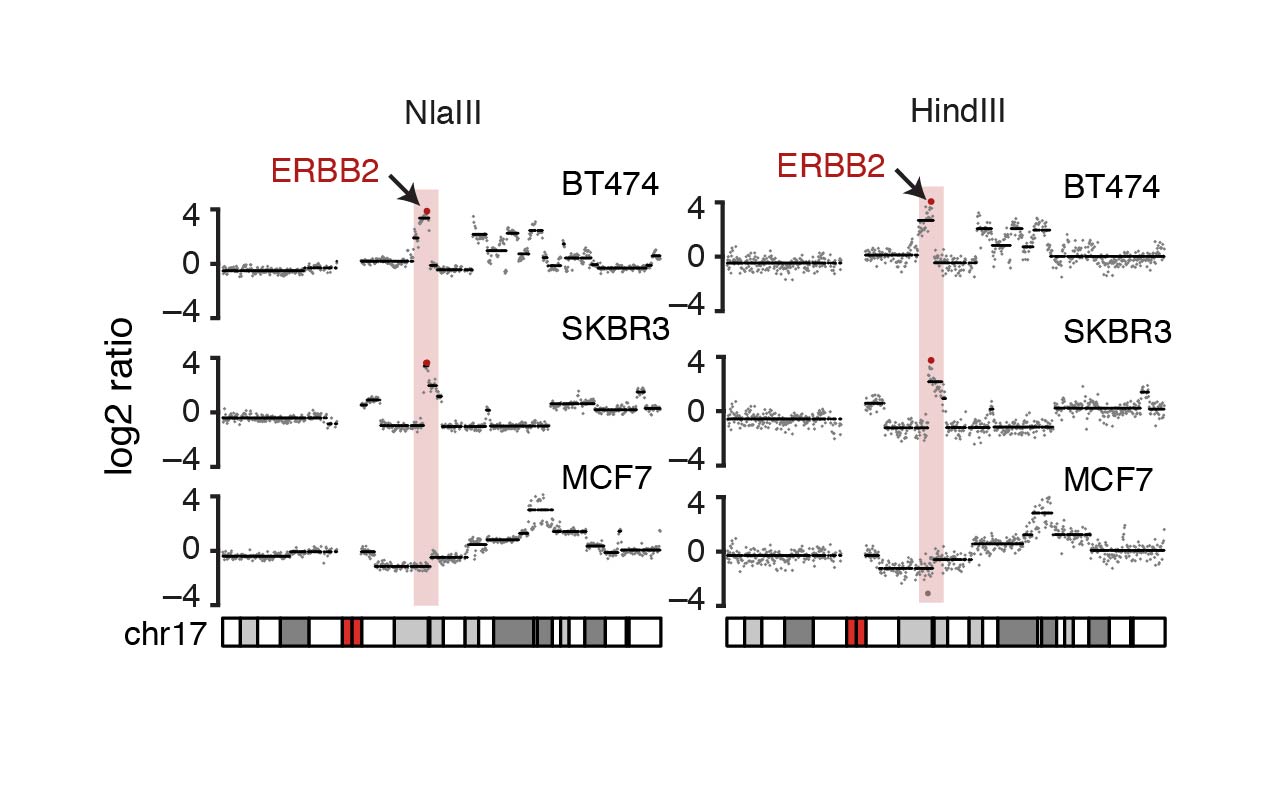 DNA copy number profiling has never been easier