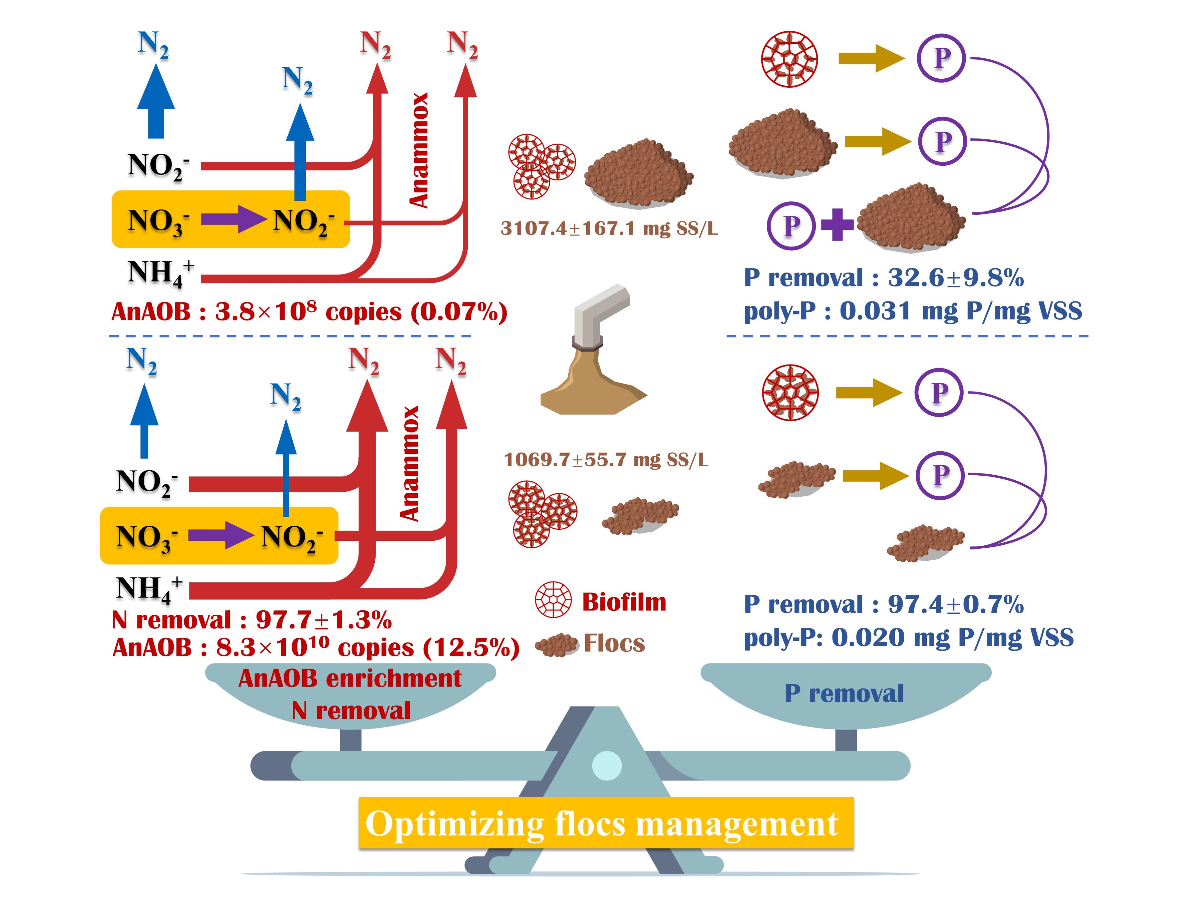 New breakthrough in sustainable ultra-efficient treatment technology for mainstream municipal wastewater
