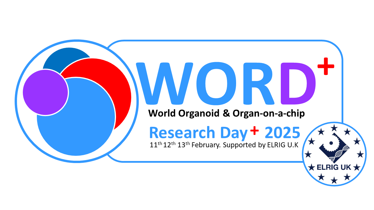 WORD+2025 Exclusive VIP tickets!