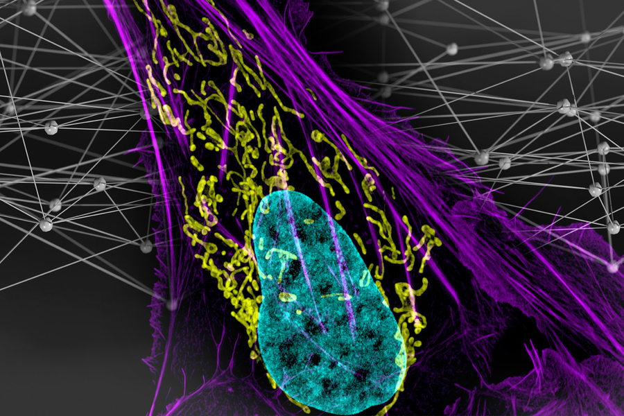 Digging into the dark matter of the genome to uncover mutations that drive cancer