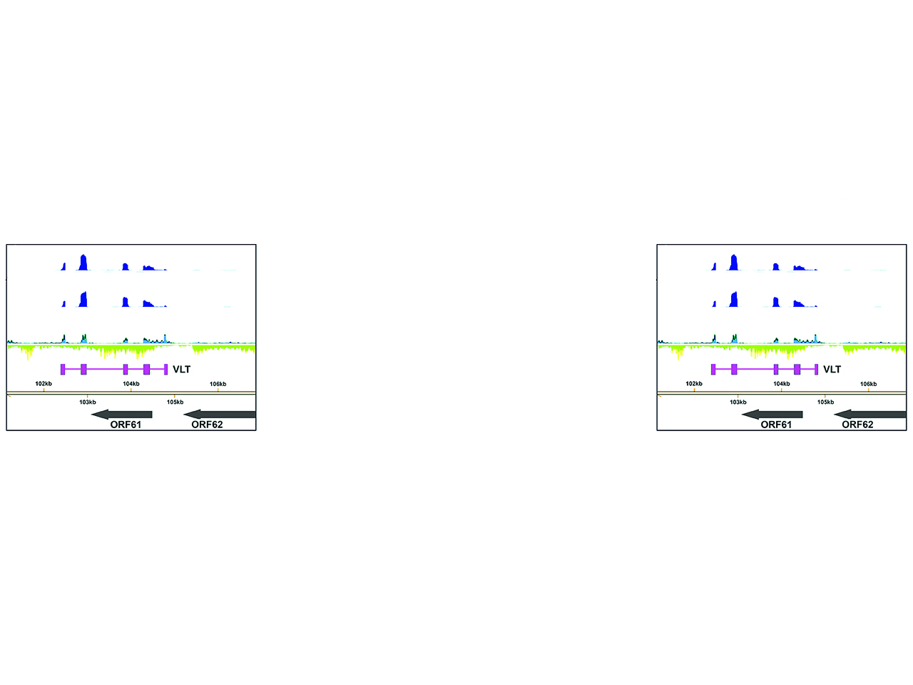 Old ideas and new technologies decode viral latency