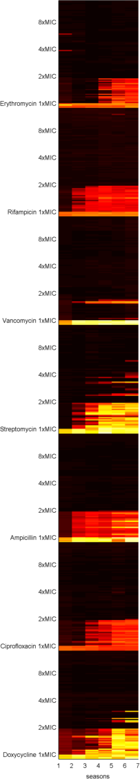Evolving antibiotic resistance: a cheap spatial ecology lab