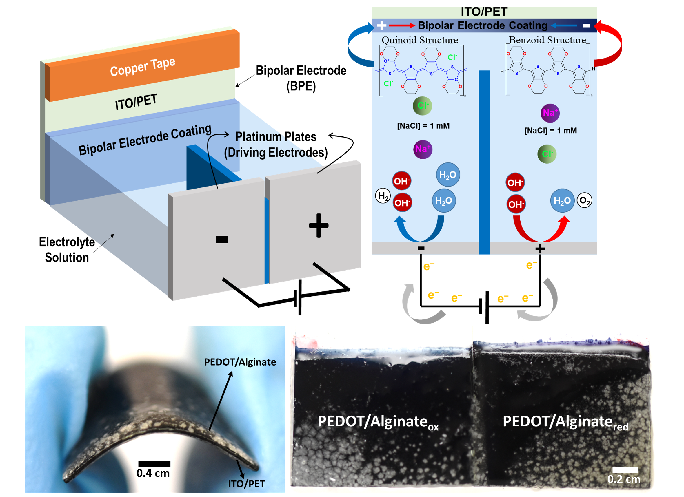 Wireless Control of Redox Gradients in Conductive Hydrogels: A New Frontier in Drug Delivery & Energy Harvesting