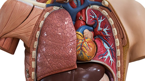Editors' Highlights in Translational & Clinical Research