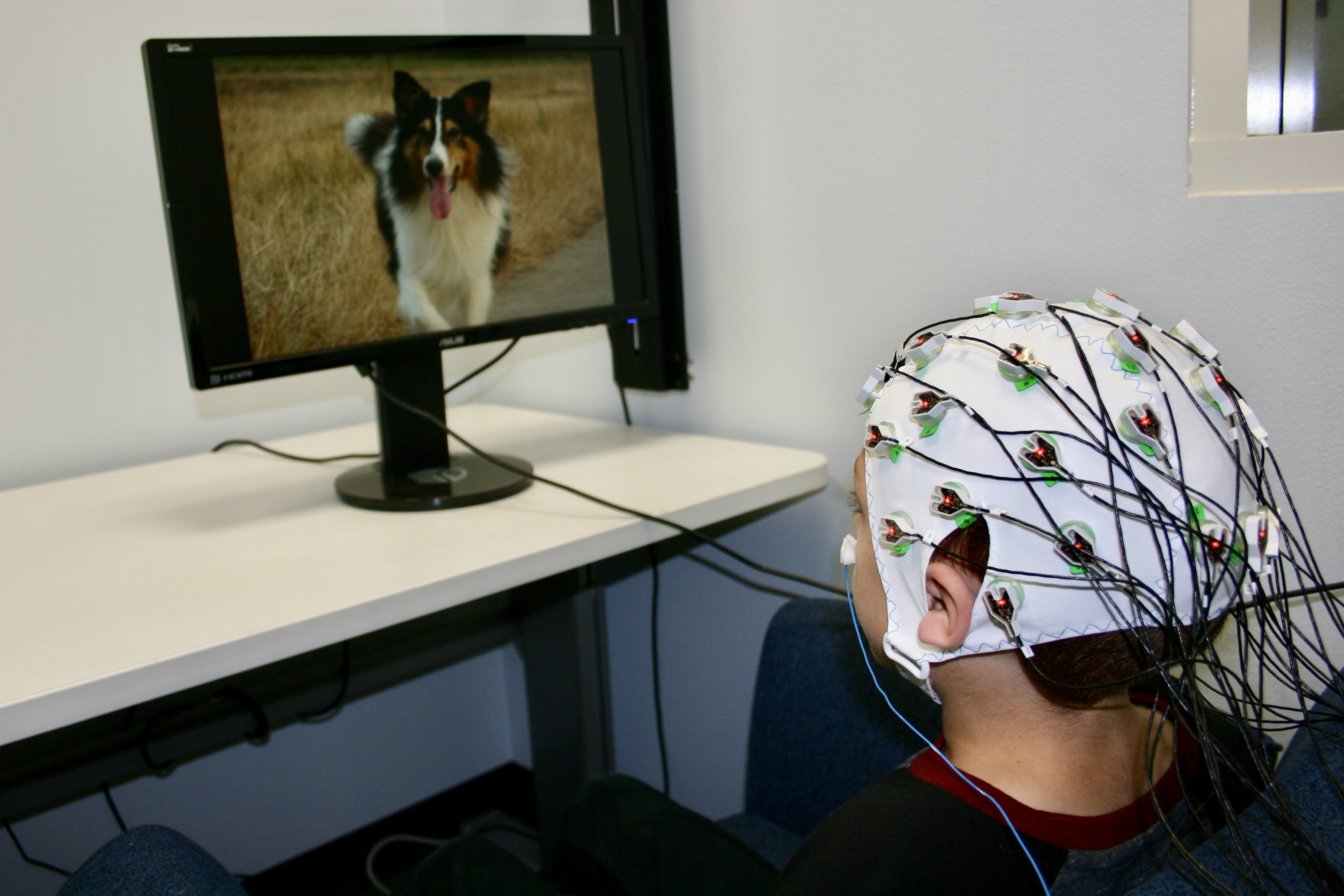 How neuroscience can help us understand autism.
