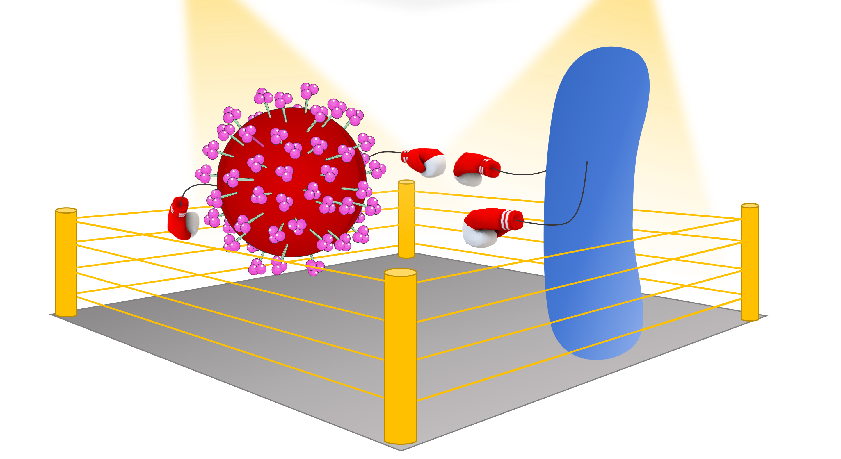 Can bacteria help humans fight COVID-19?