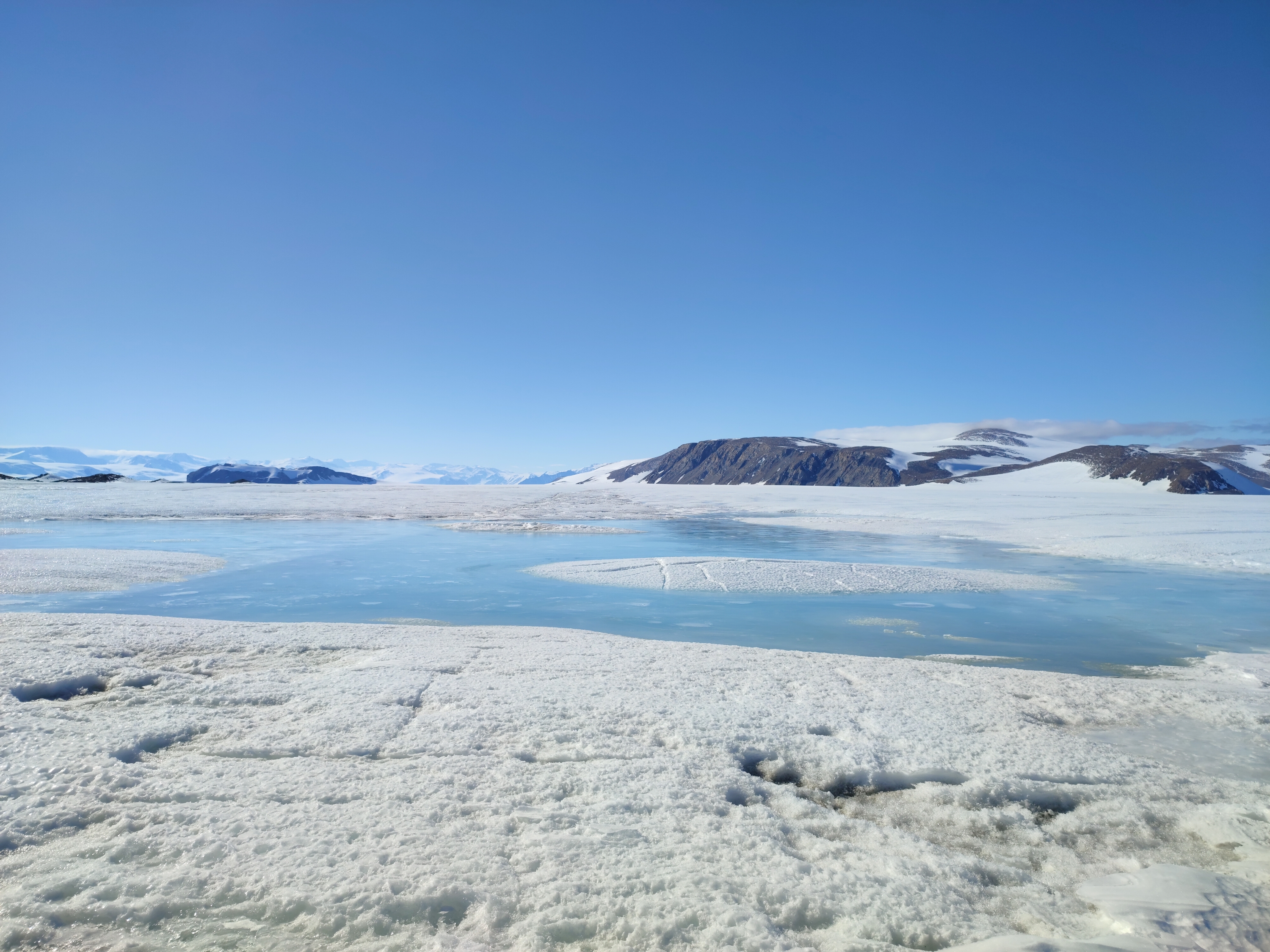 How much whitening of Antarctic Ice Shelves tackles the melting-albedo feedback