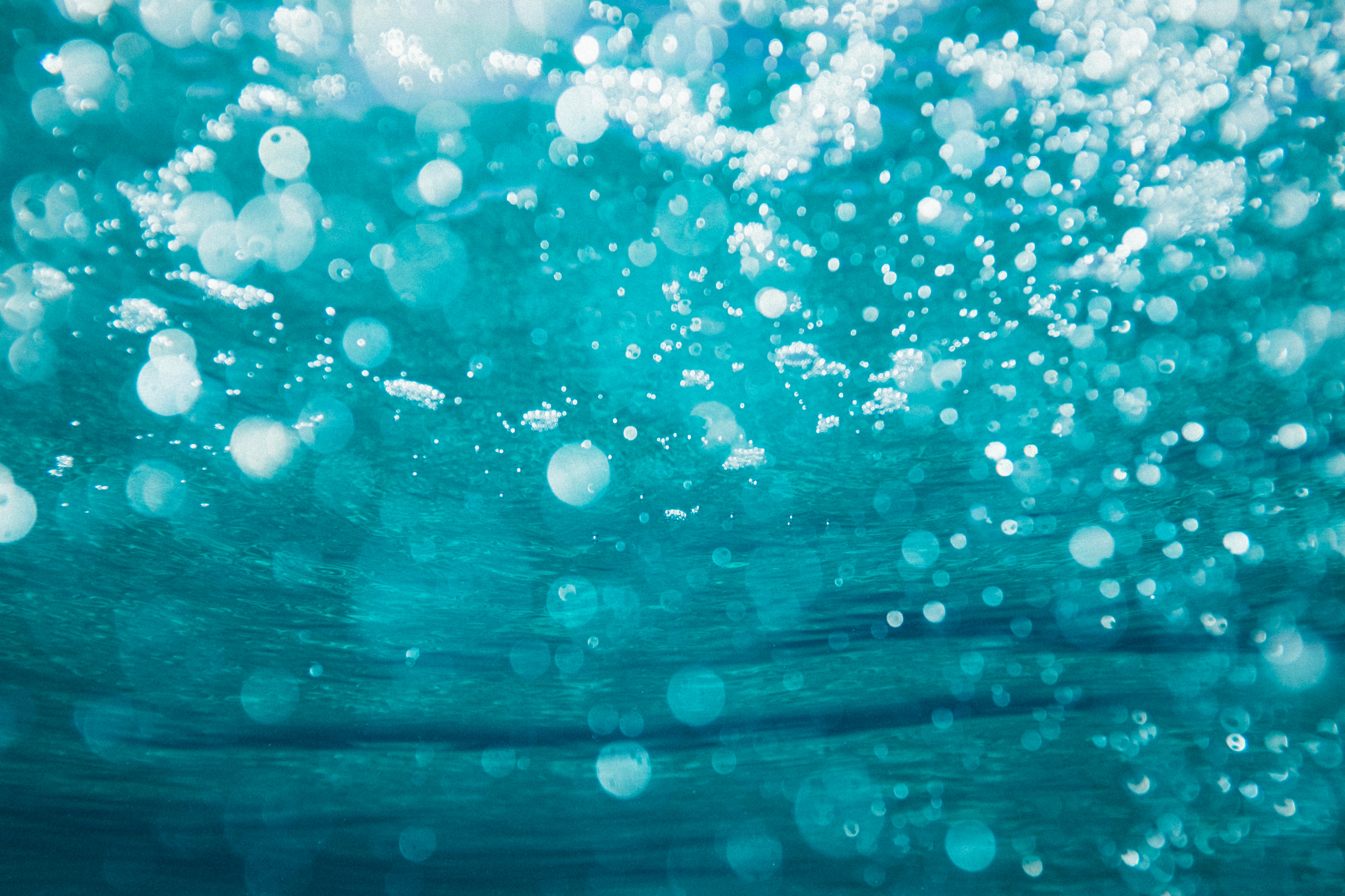 July Highlights from the Humanities and Social Sciences Communities 