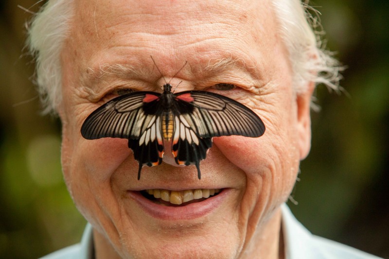 The Power of Communications for Conservationists (Podcast)