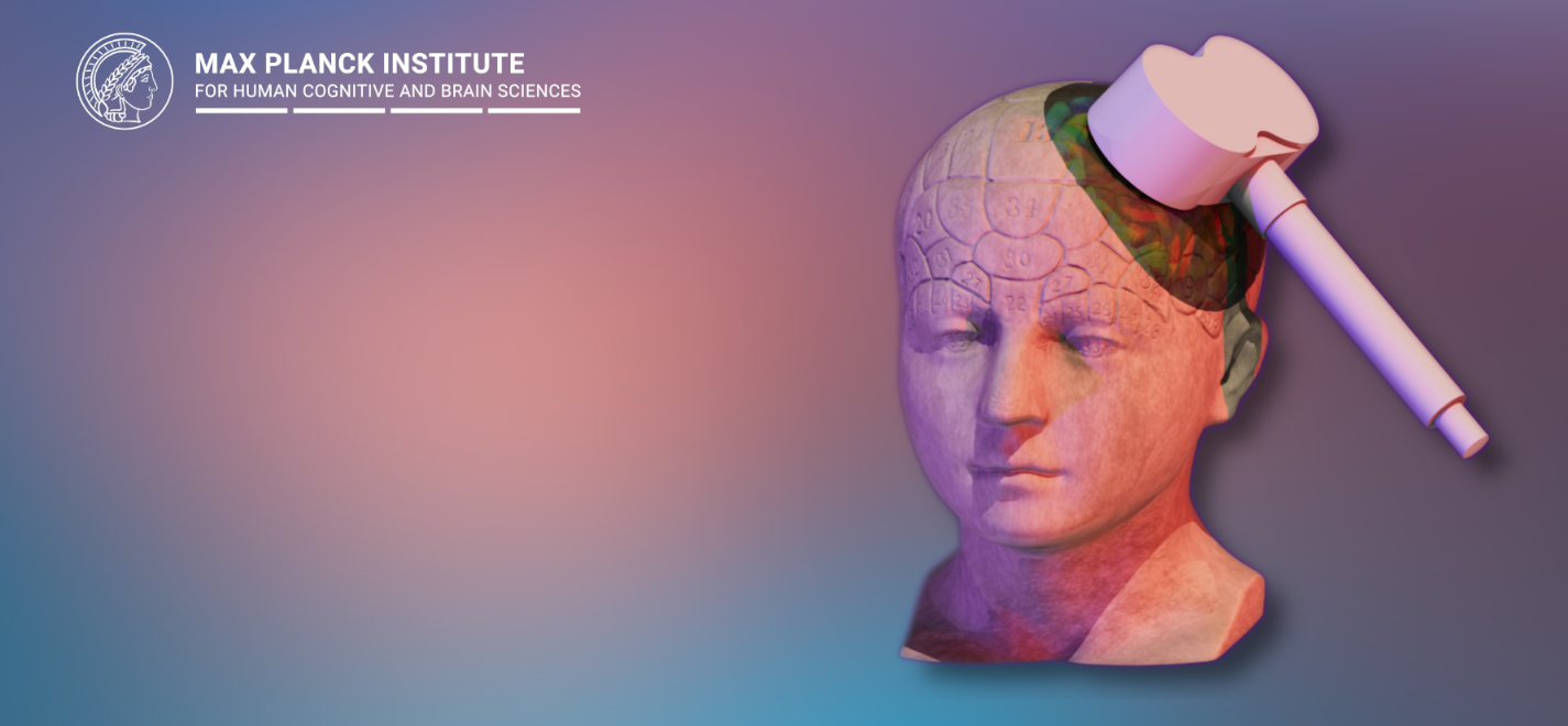 How to map the human brain (fast)?