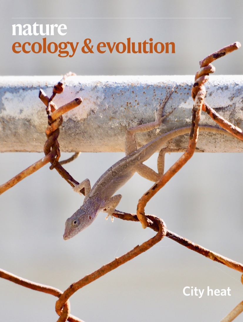 Gallery | April 2020 cover