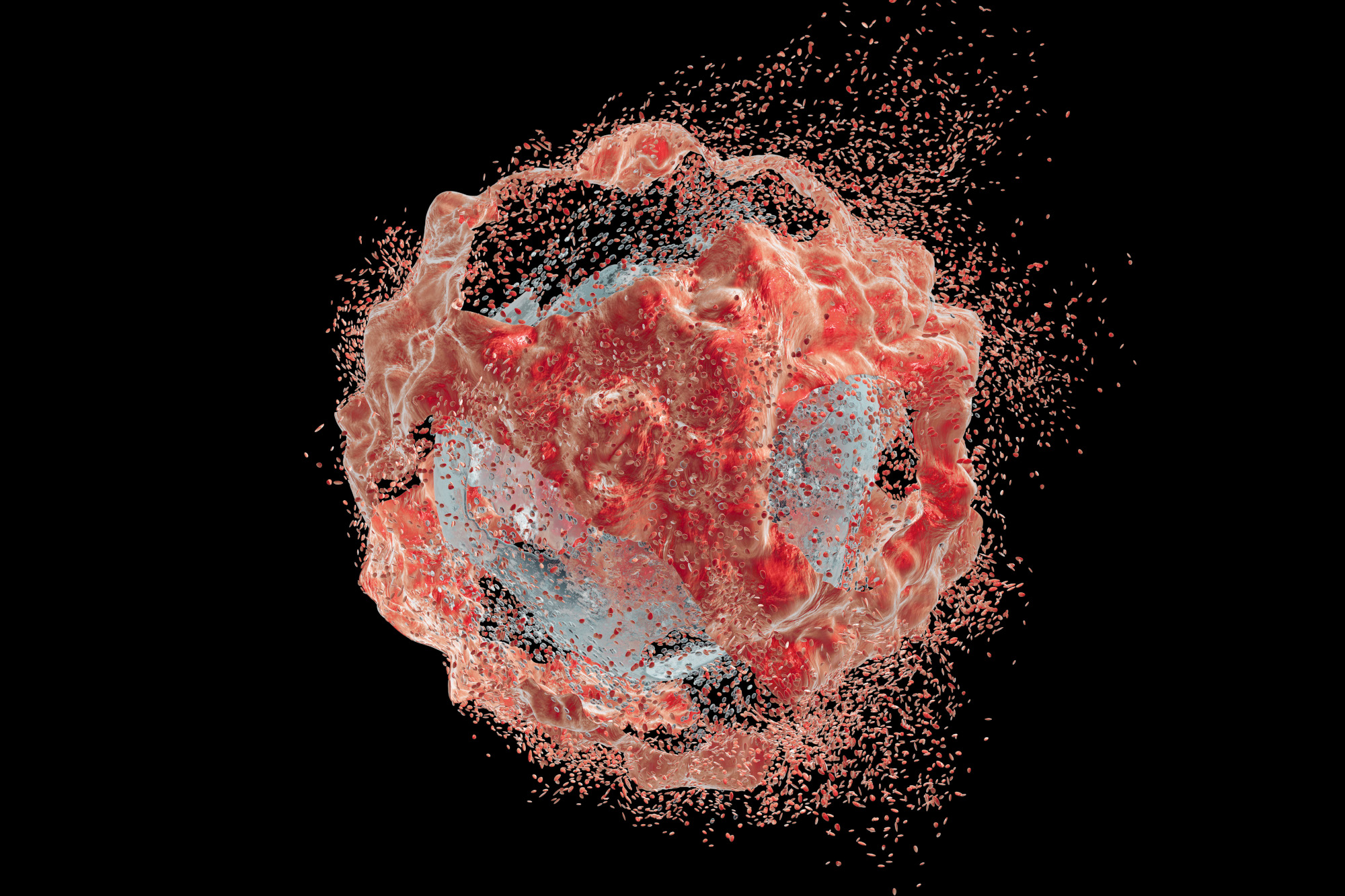Call for papers: Cell death and inflammatory signalling